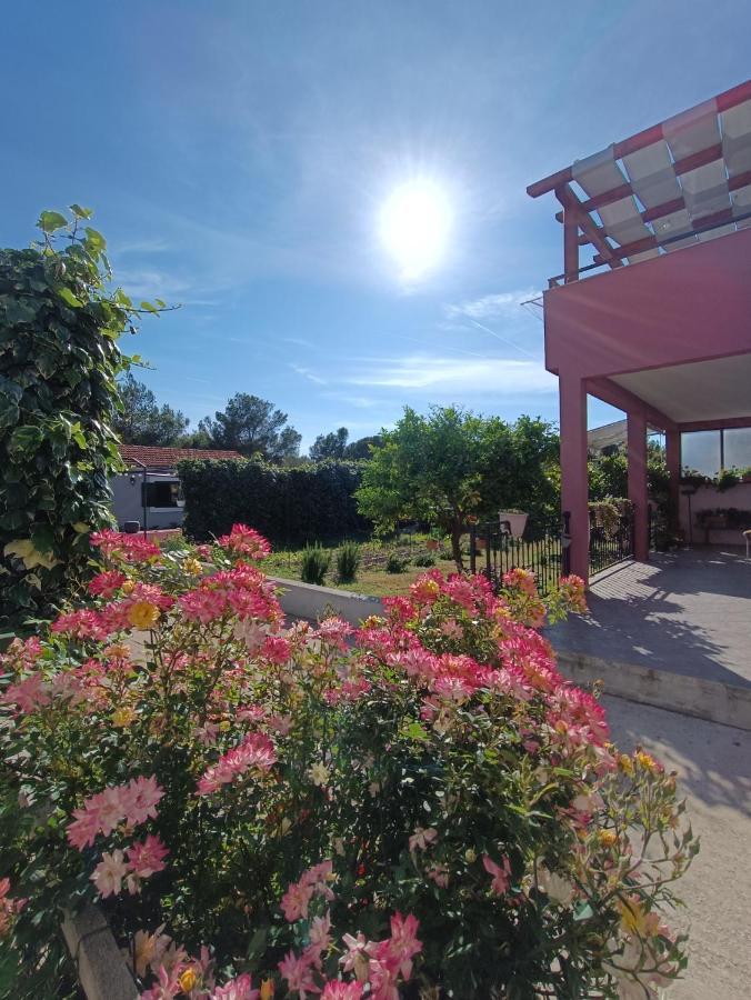 Apartman Brigita Apartment Biograd Na Moru Exterior foto