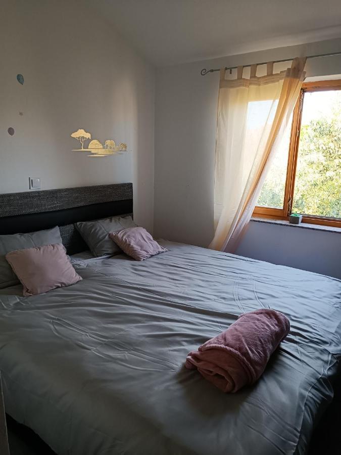 Apartman Brigita Apartment Biograd Na Moru Exterior foto